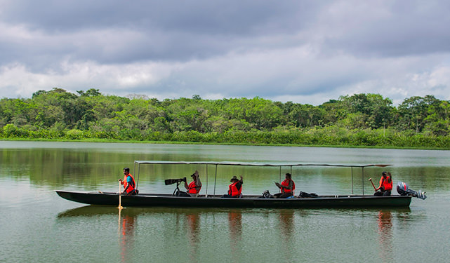 Amazon Lakes Birding Ecuador