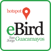 ebird logo sj guacamayos
