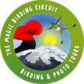 Magic Birding Circuit Logo