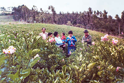 Hacienda Singuna Jorge Cruz