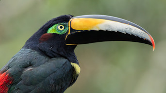 Photo Tours Ecuador Cover