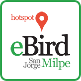 ebird logo sj milpe