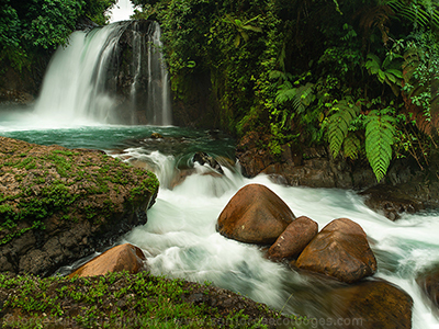 Amazon Landscape 4 Jorge Luis Cruz Alcivar