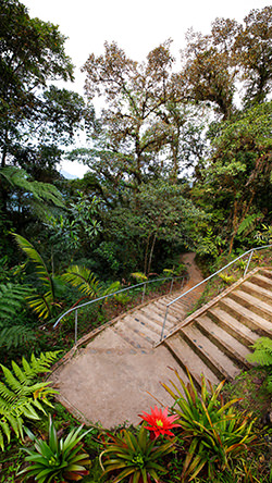 San Jorge Guacamayos Reserve