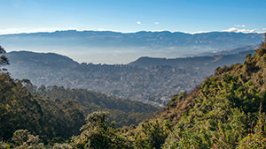 San Jorge Quito Bird Reserve