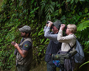 Birders Magic Birding