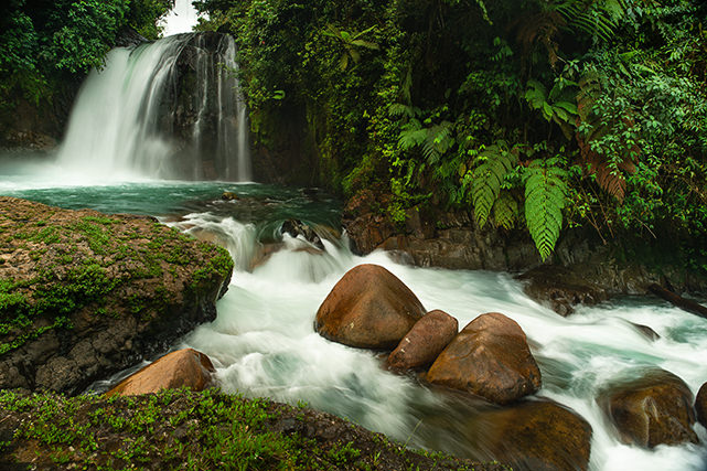 Waterfall Magic Birding 